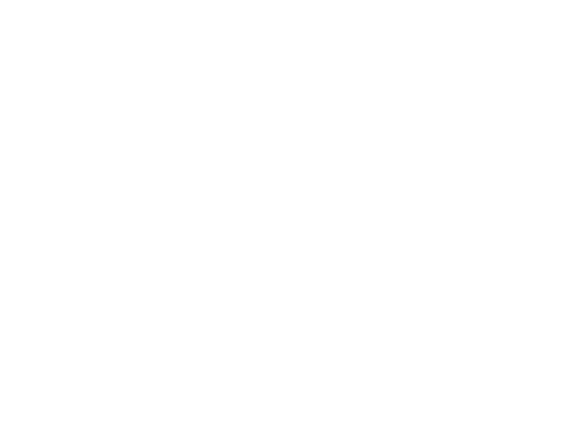Castore